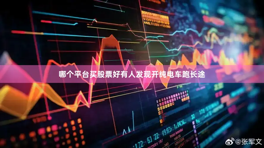 哪个平台买股票好有人发现开纯电车跑长途
