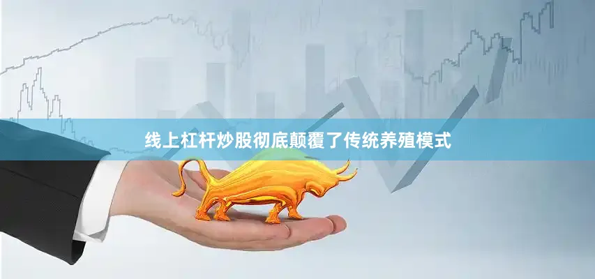 线上杠杆炒股彻底颠覆了传统养殖模式