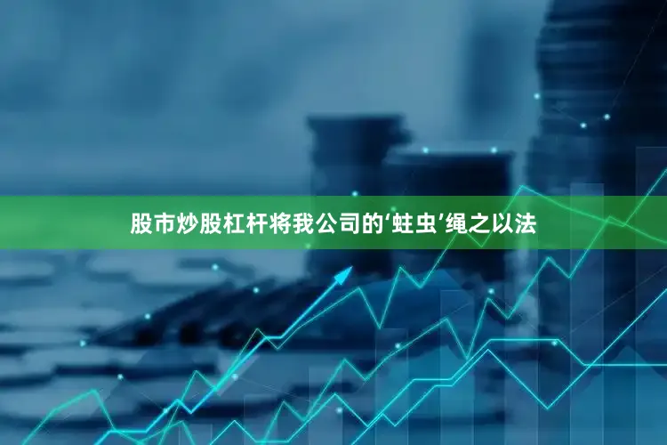 股市炒股杠杆将我公司的‘蛀虫’绳之以法