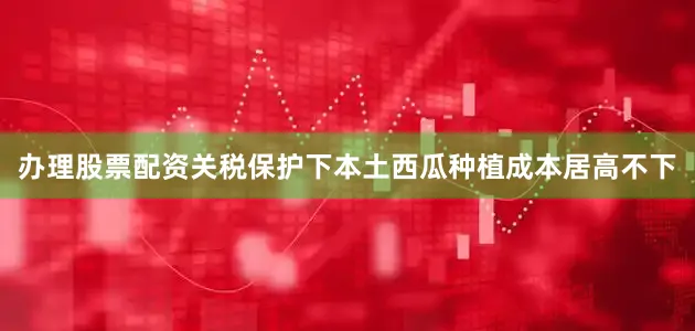 办理股票配资关税保护下本土西瓜种植成本居高不下