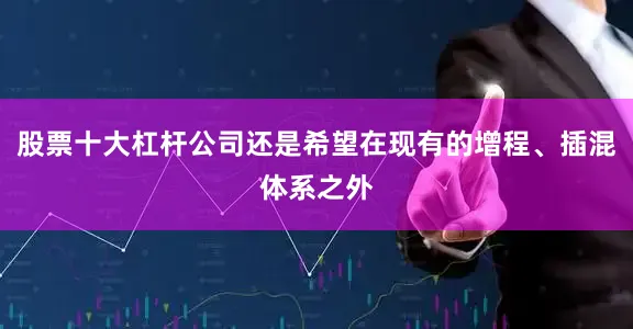 股票十大杠杆公司还是希望在现有的增程、插混体系之外