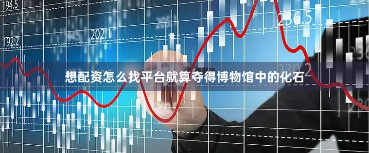 想配资怎么找平台就算夺得博物馆中的化石