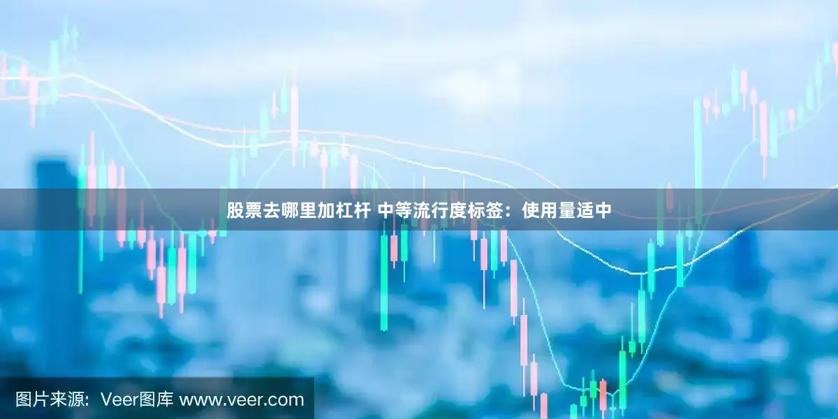 股票去哪里加杠杆 中等流行度标签：使用量适中