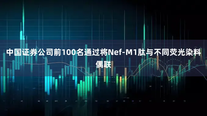 中国证券公司前100名通过将Nef-M1肽与不同荧光染料偶联