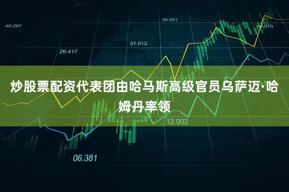 炒股票配资代表团由哈马斯高级官员乌萨迈·哈姆丹率领